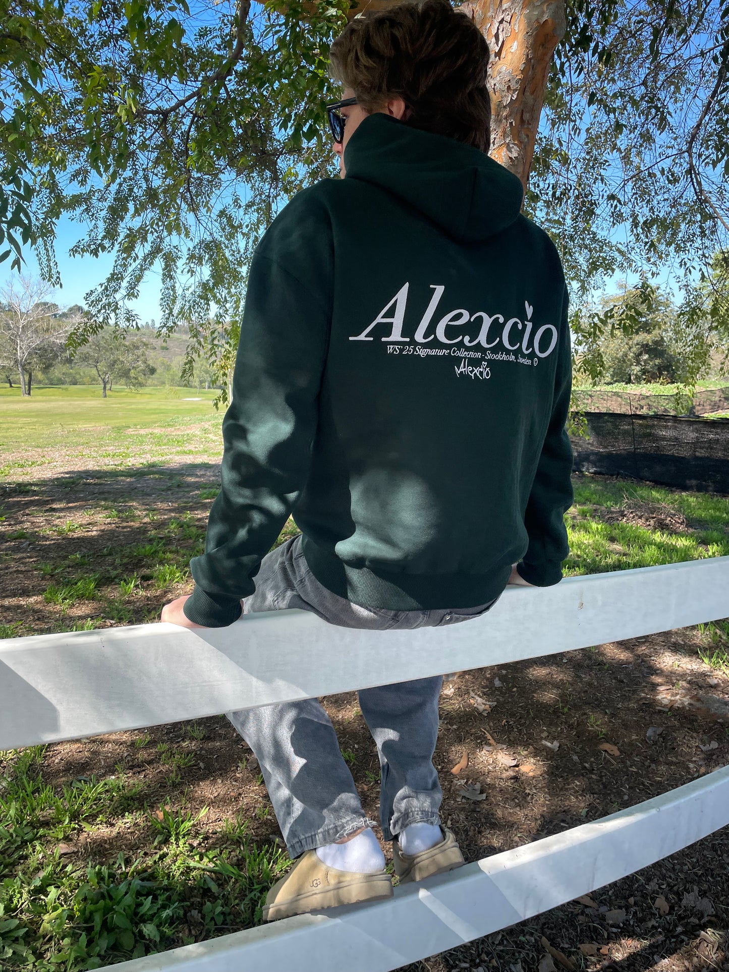Alexcio Signature hoodie - Forrest Green