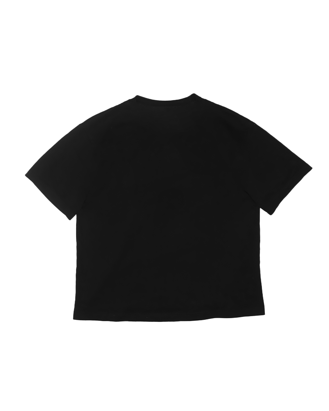 Alexcio "Everyday" T-shirt