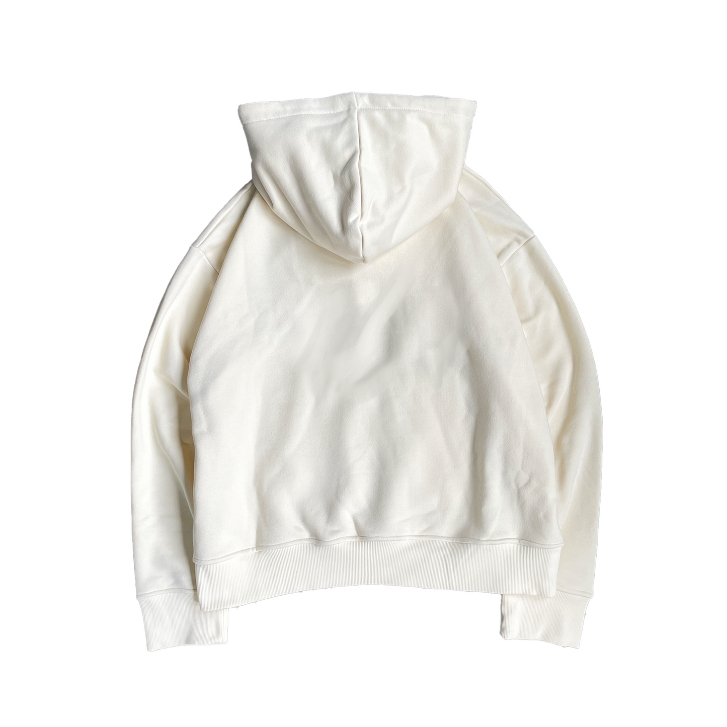 Alexcio Plain Hoodie