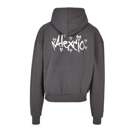 Alexcio hoodie dark grey