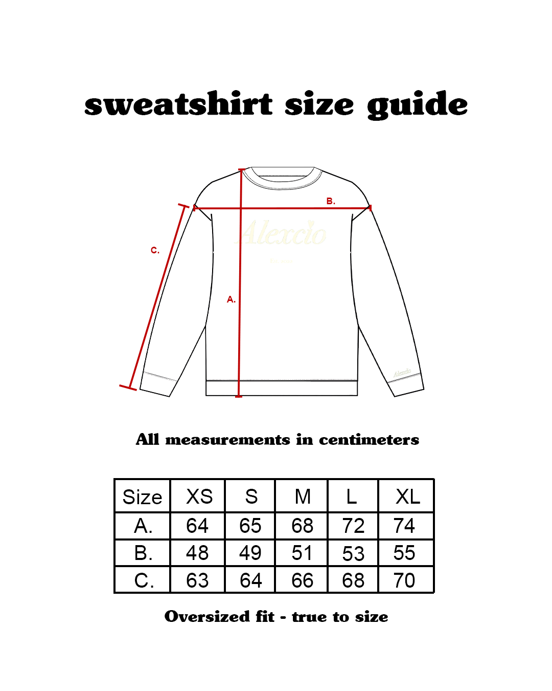 Alexcio "Everyday" Sweatshirt