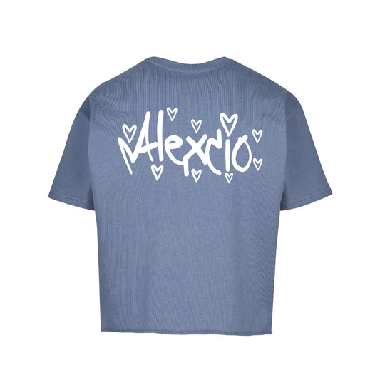 Alexcio flared tee vintage blue